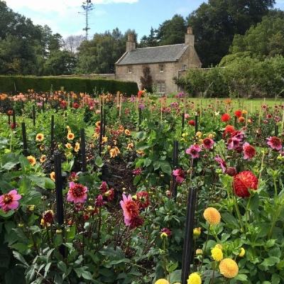 365平台官方版下载app下载